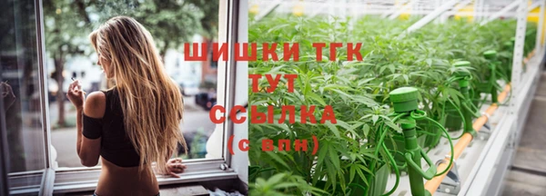 эйфоретик Беломорск