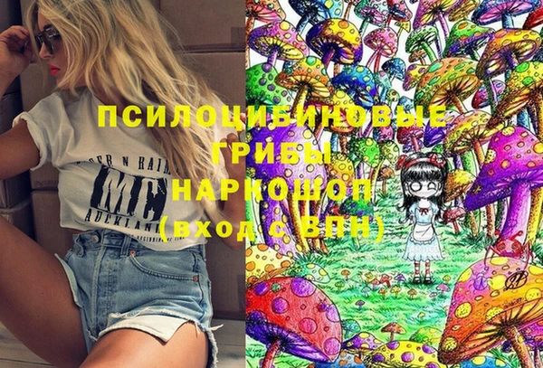 2c-b Белокуриха