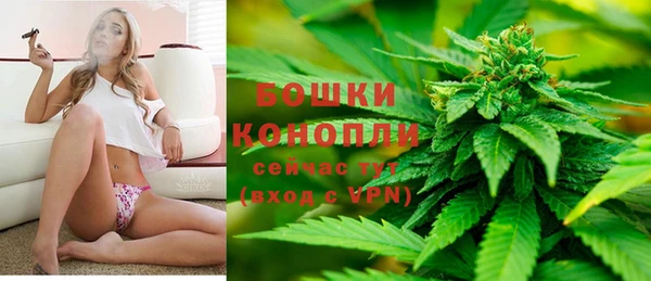 трава Богданович