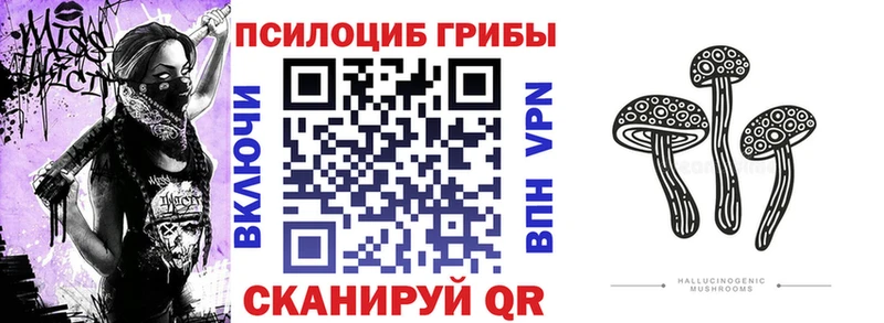 сколько стоит  Беломорск  ОМГ ОМГ tor  Галлюциногенные грибы прущие грибы 