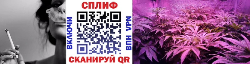Марихуана тримм Беломорск